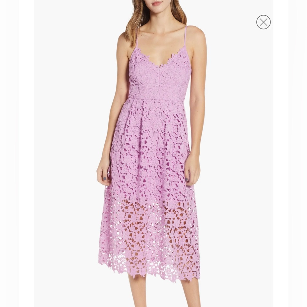 Lace midi dress by ASTR the label in Endless Rose